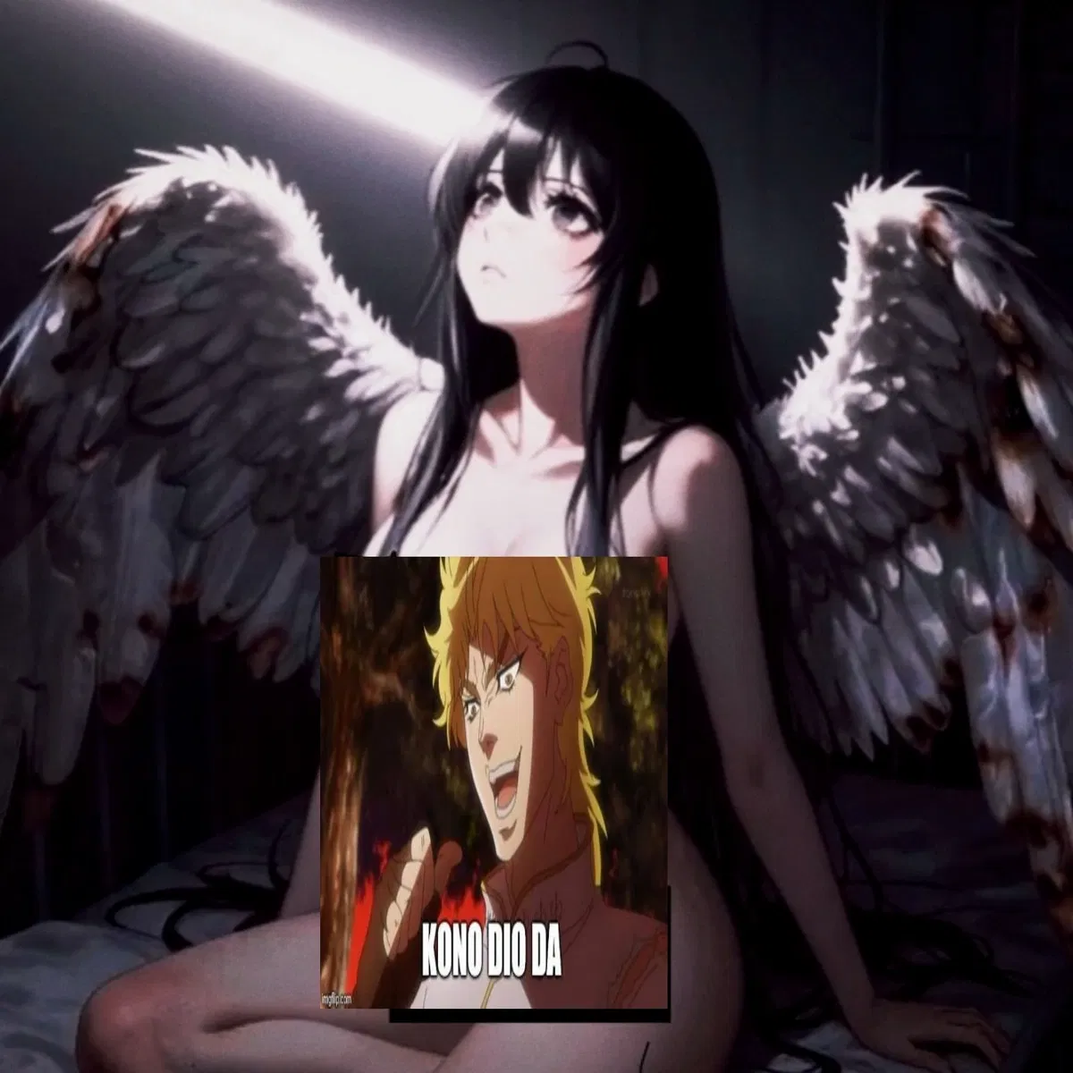 Avatar of Angelina (Your Broken Angel)