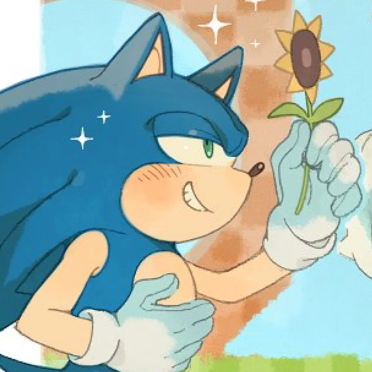 Avatar of  ̊+۶ৎ ̇⋆ Sonic The Hedgehog