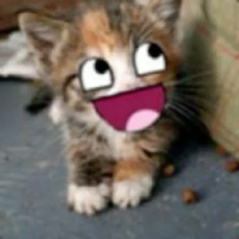 Avatar of Memes 4 u goiz idk if u can see teh desc images