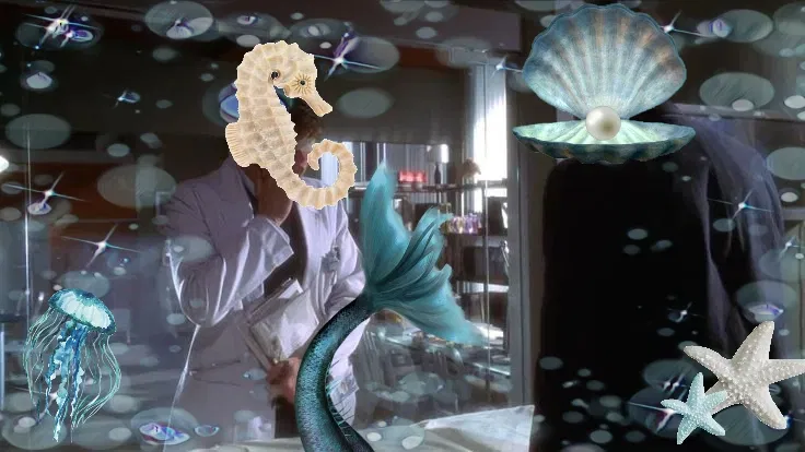 Avatar of Gregory House and James Wilson || Mermaid