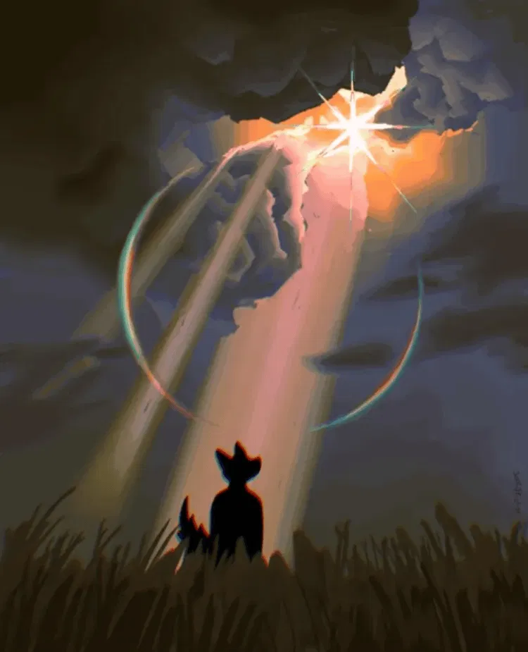 Avatar of A Cased Shine