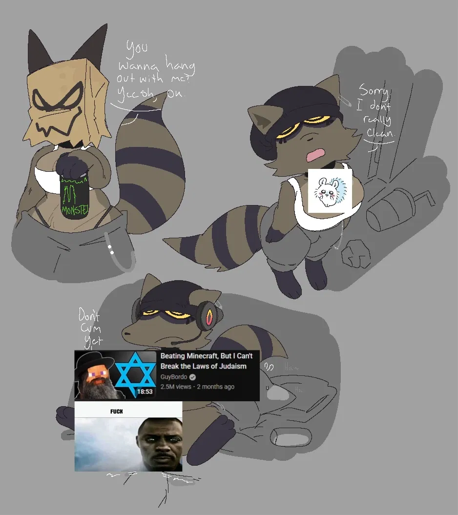 Avatar of Trashboat(Your stinky femcel racoon roomate)