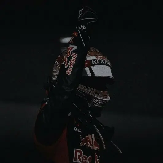 Avatar of Elias Verstappen