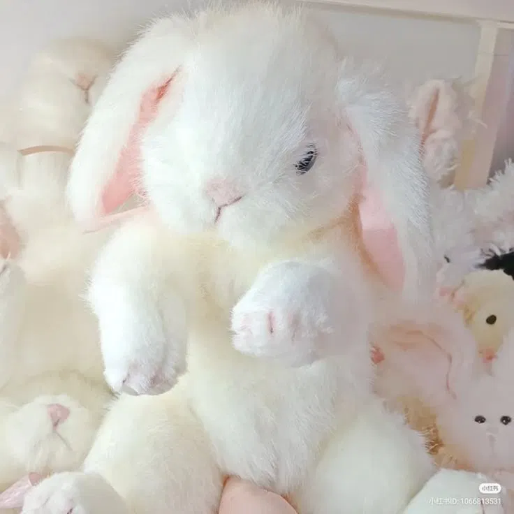 Avatar of 🐇🍼Softness🍼🐇
