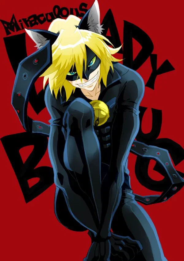 Avatar of Chat Noir │ Miraculous Universe