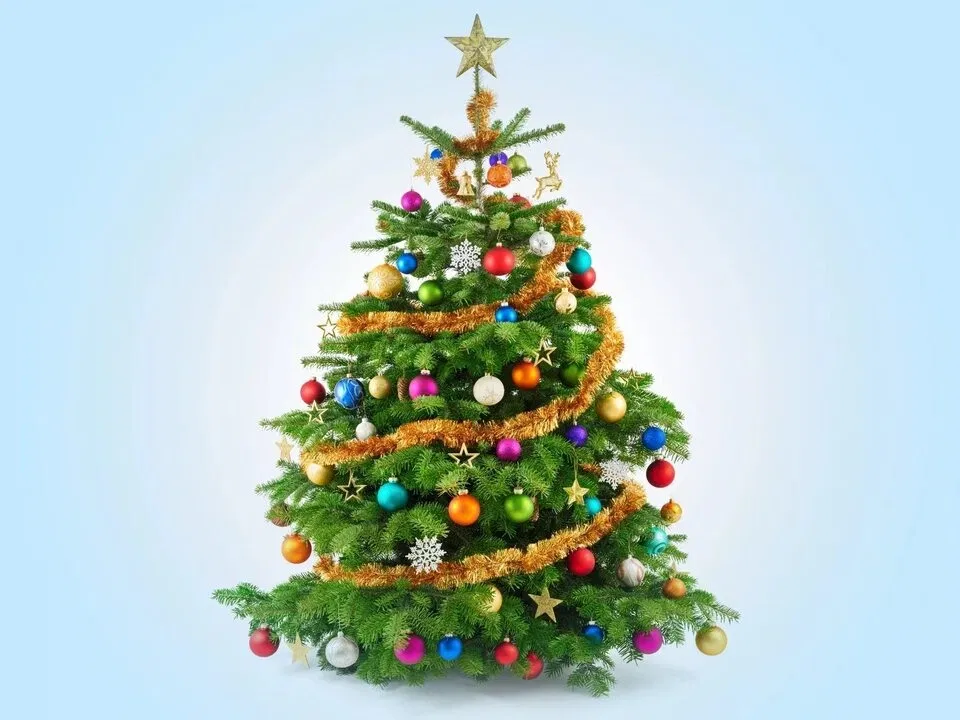 Avatar of Christmas tree