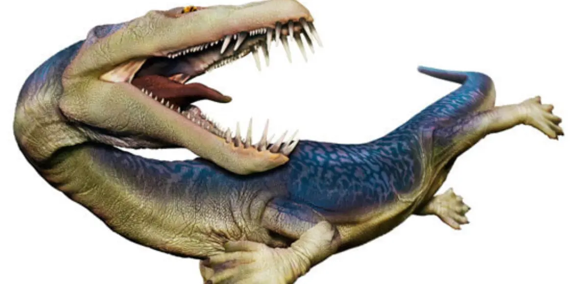 Avatar of Nothasaurus the false lizard