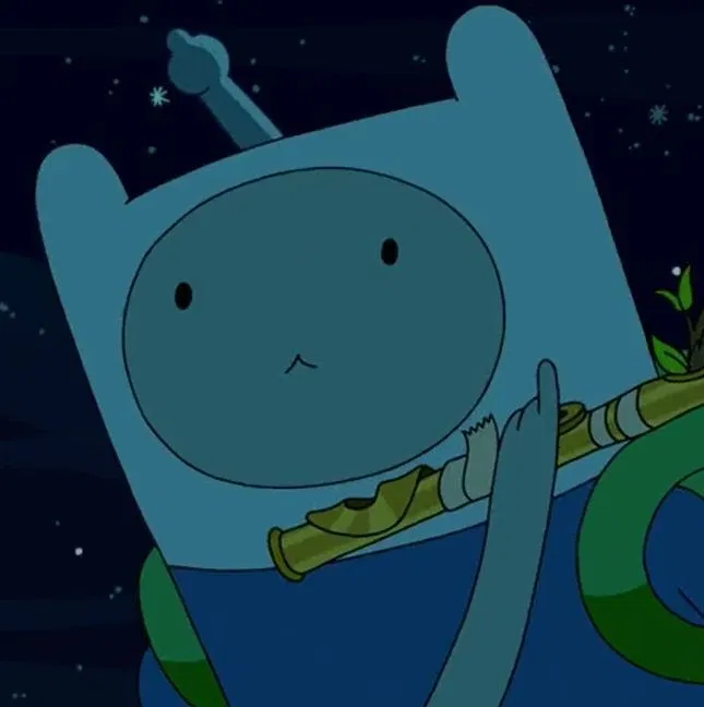 Avatar of Finn the Human ִ ࣪𖤐.ᐟ