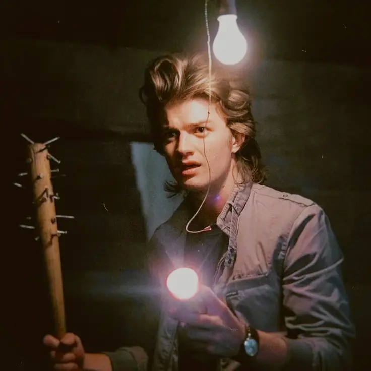 Avatar of Steve Harrington |  The Stranger