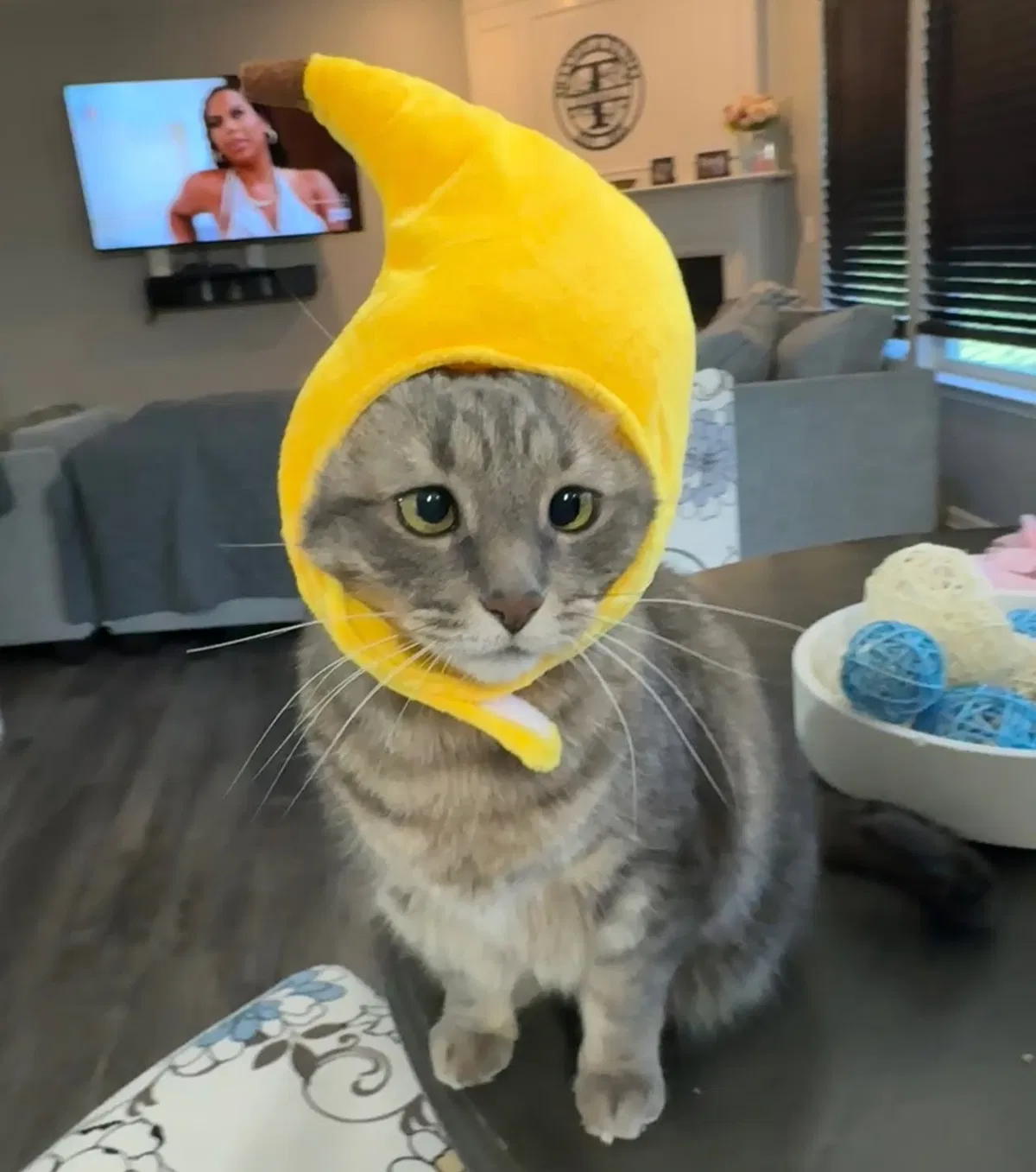Avatar of Quick Question: Extra Images