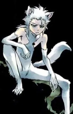 Avatar of Toshiro Hitsugaya 