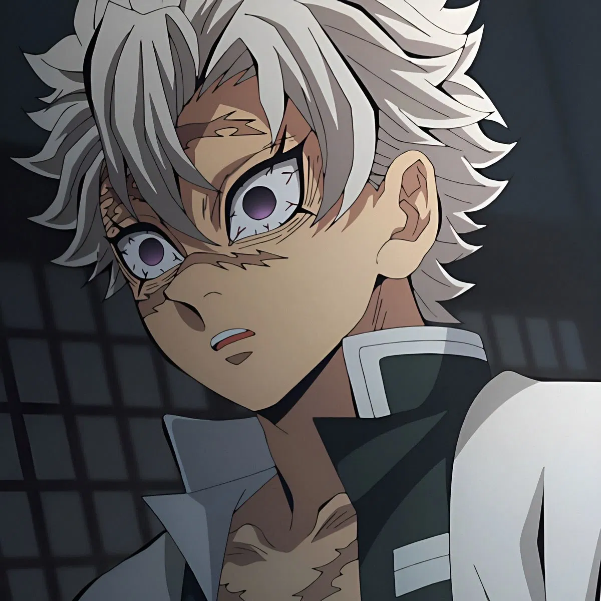 Avatar of -Sanemi Shinazugawa- [SECRET LOVERS]