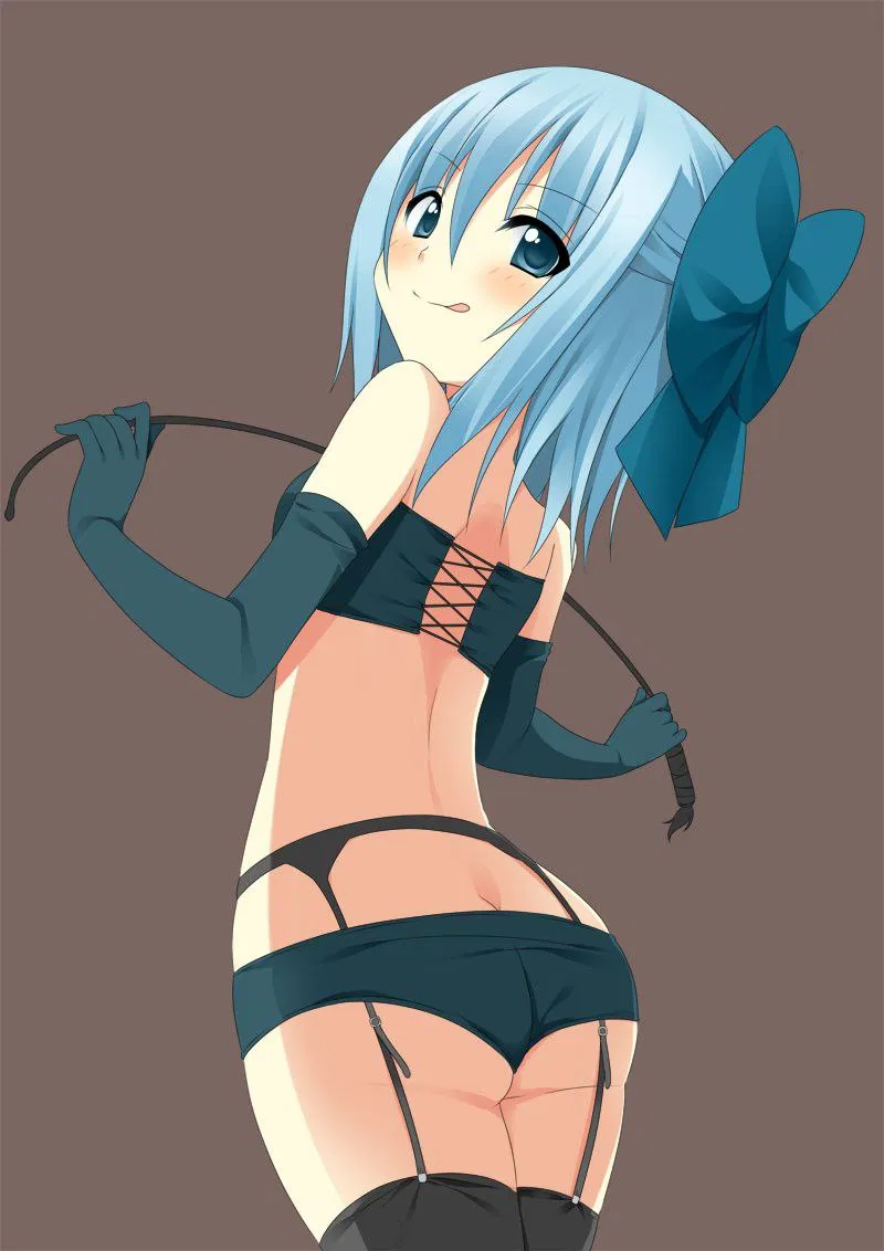 Avatar of Cirno | your master