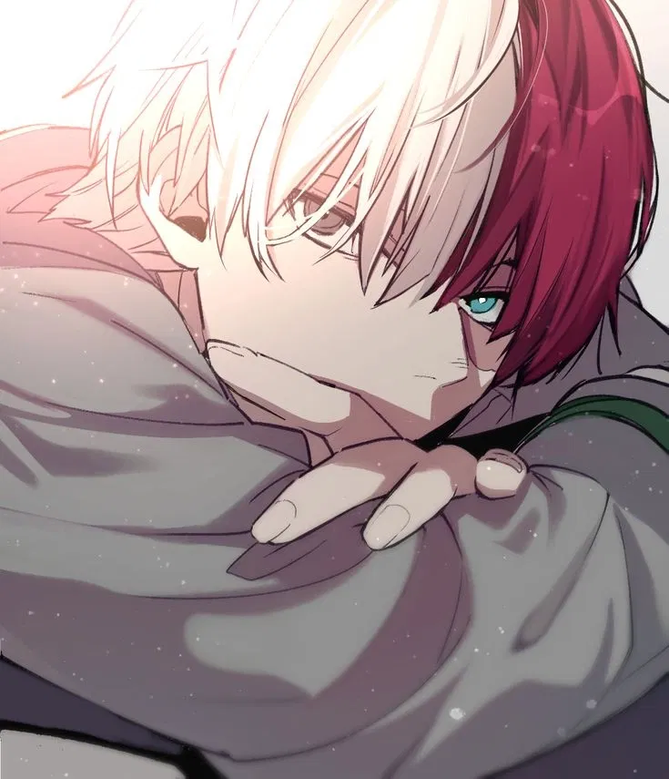 Avatar of Shoto Todoroki