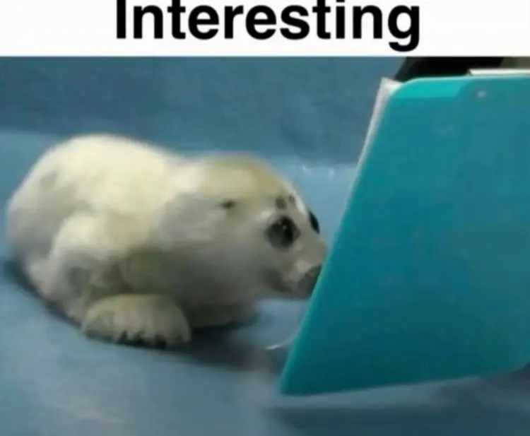 Avatar of I’m low on motivation