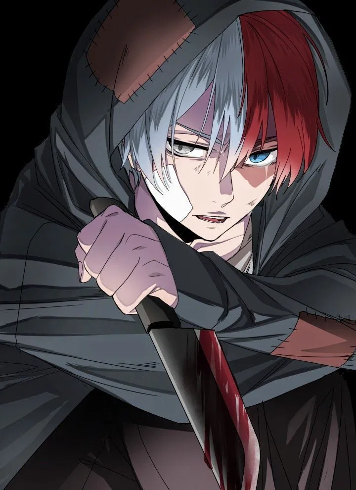 Avatar of Shoto Todoroki
