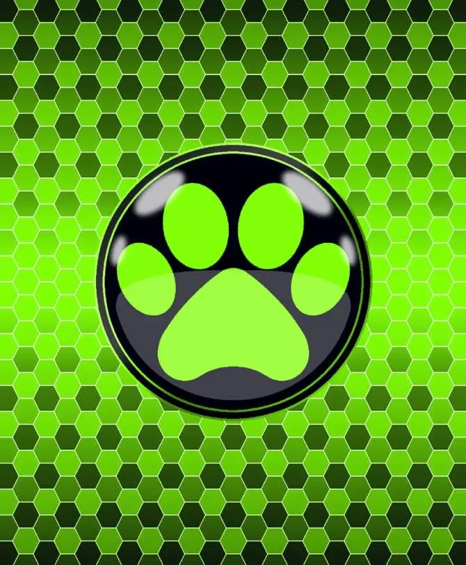 Avatar of You Have the Cat Miraculous