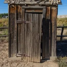 Avatar of At the Bottom of a Furry Outhouse