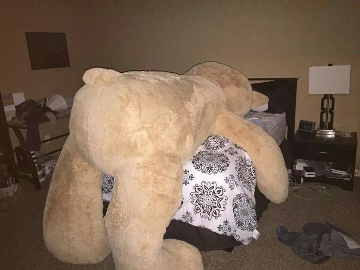 Avatar of ⋆.° Teddy Bear, but YOU are the weirdo ⸝꙳.˖