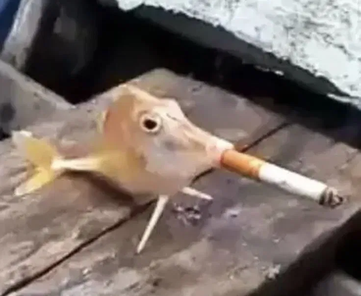 Avatar of Rant bot of absolute eeeevil