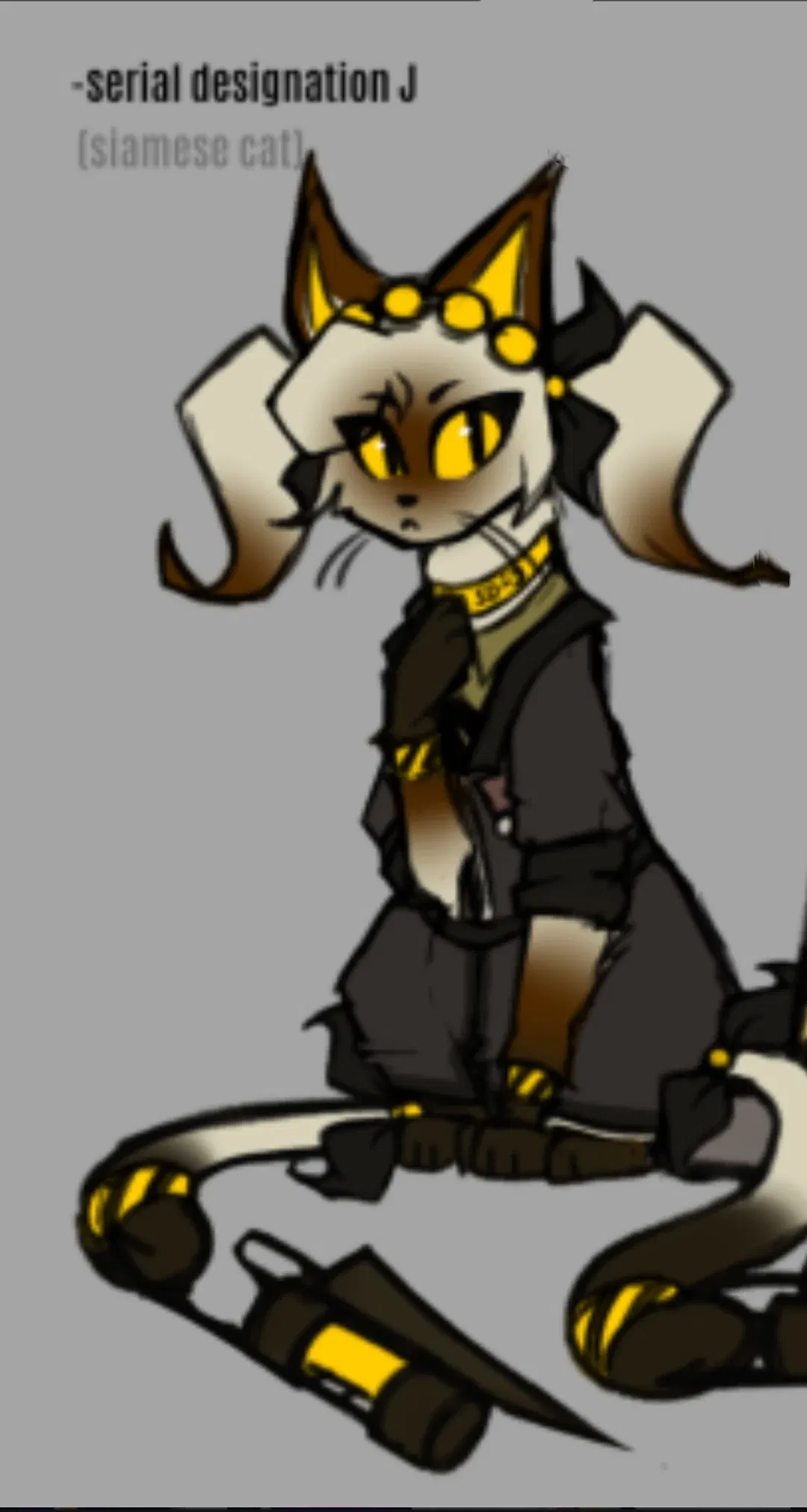 Avatar of J Siamese cat || animal AU