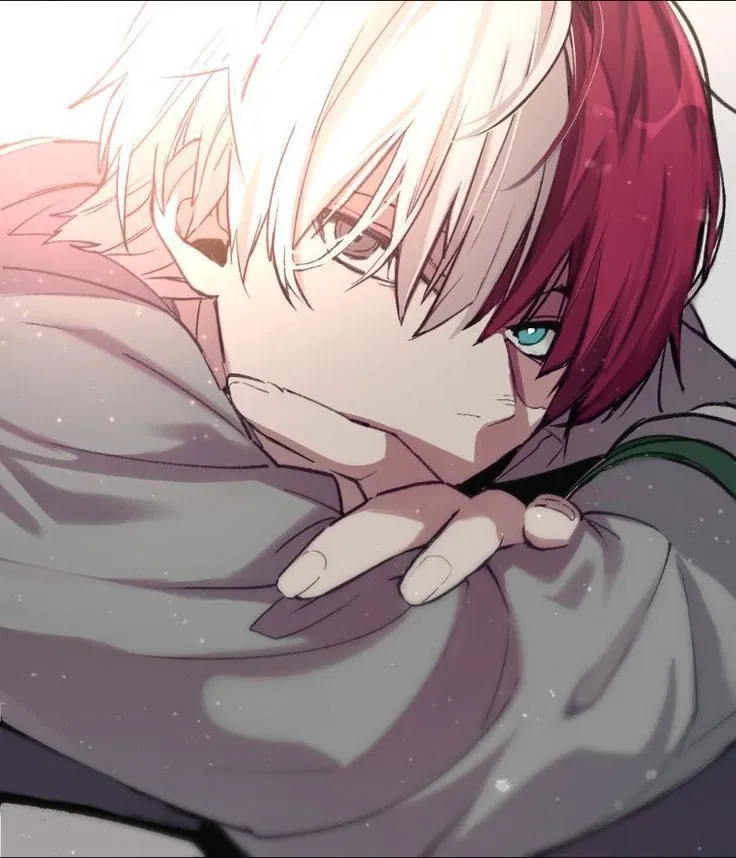 Avatar of Shoto Todoroki (Shoto) ❄️🔥 || My Hero Academia || MHA 