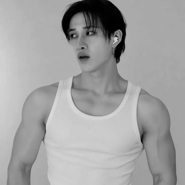 Avatar of Bang Chan || HEAT