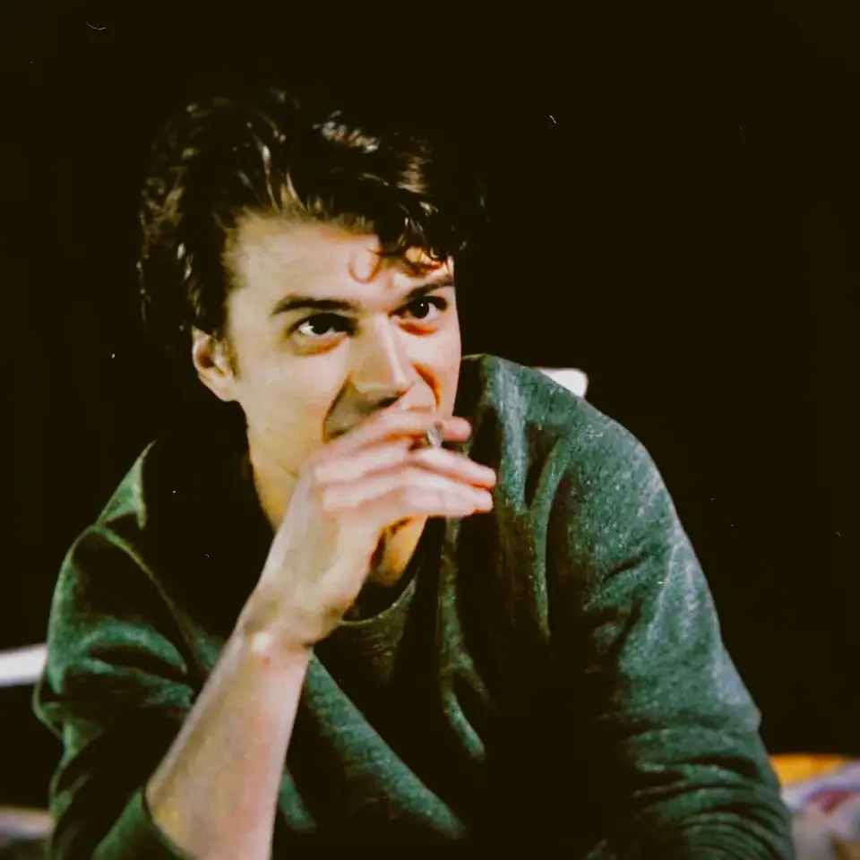 Avatar of Steve Harrington | Meeting Parents