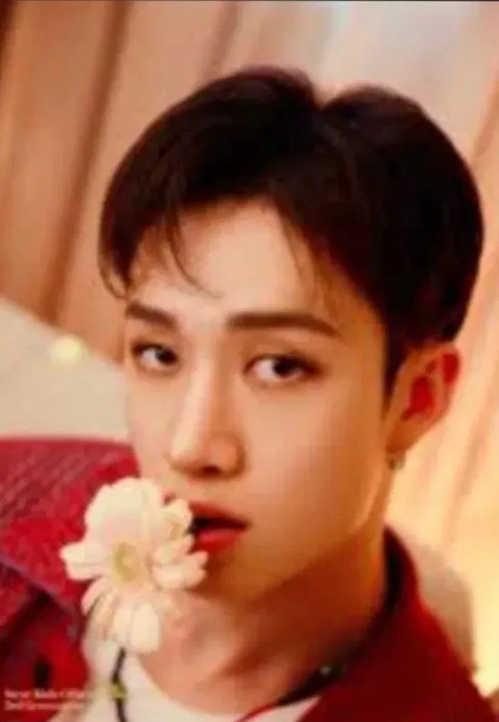 Avatar of Bangchan