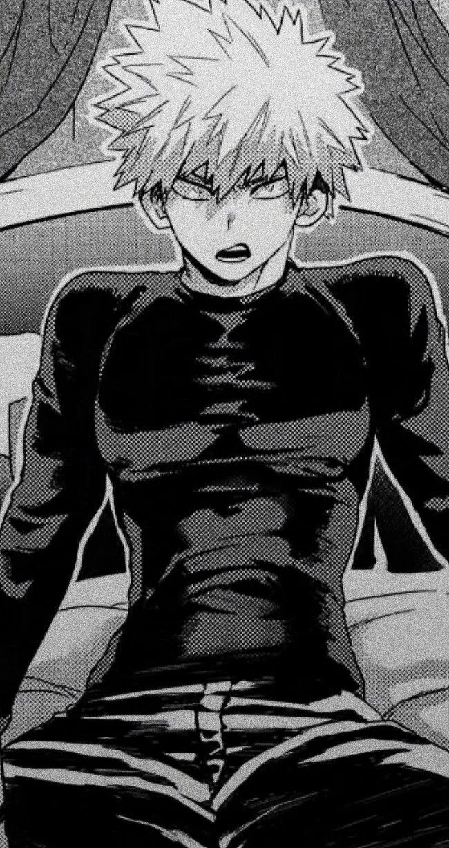 Avatar of @Katsuki Bakugo_31