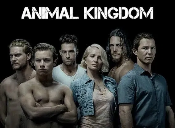 Avatar of Animal Kingdom