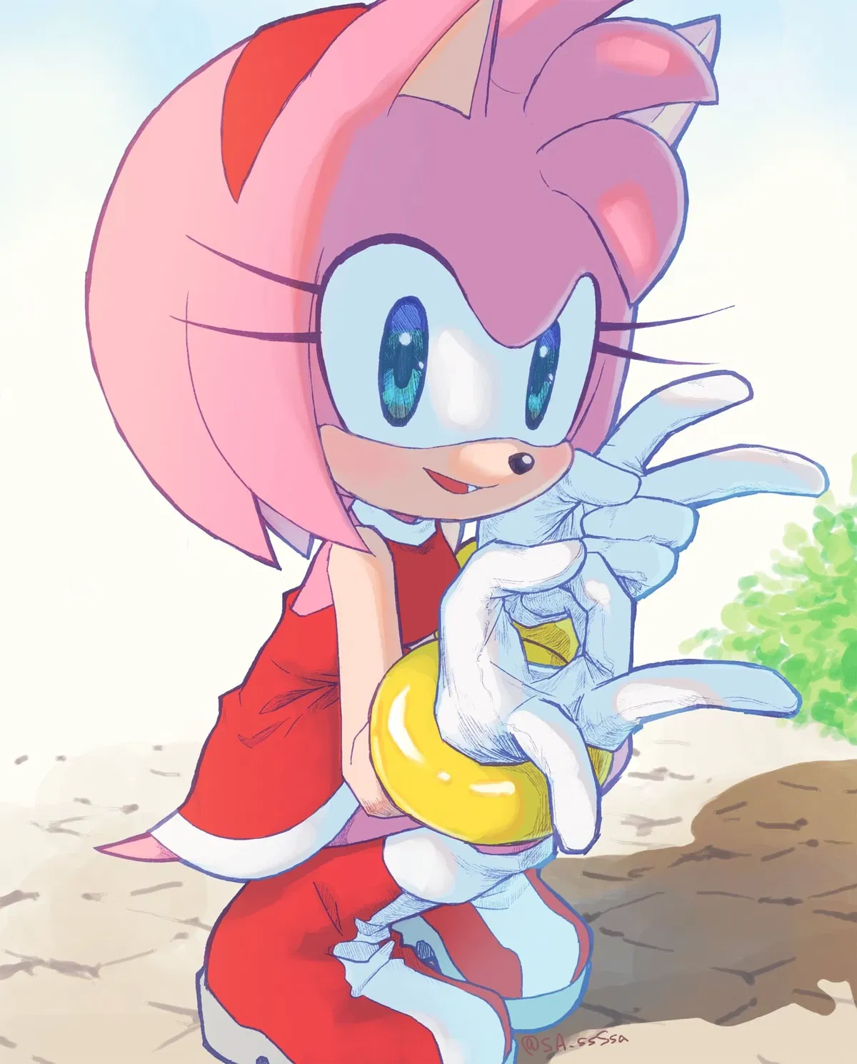 Avatar of Amy Rose