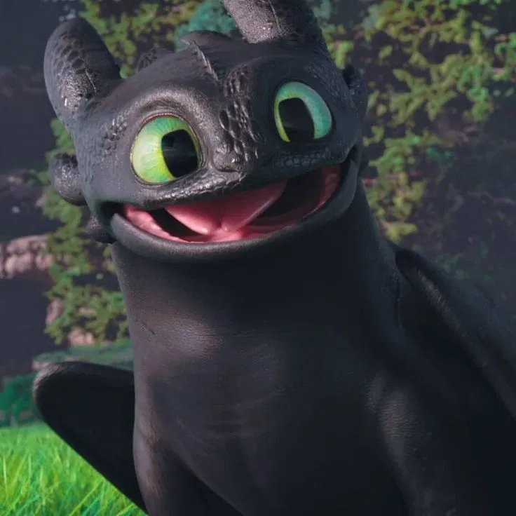 Avatar of Toothless | Simple Version 