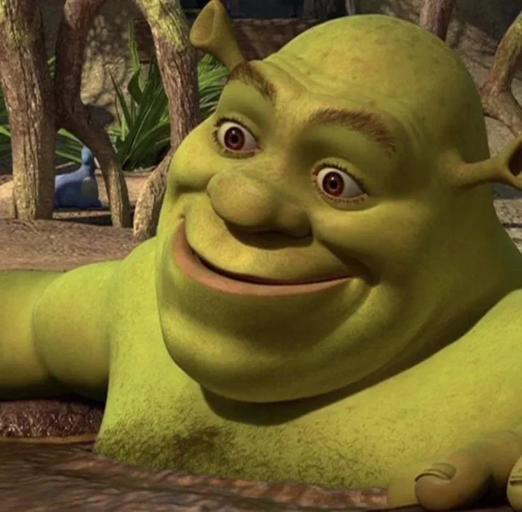 Avatar of # Layers Of Cooking / Shrek