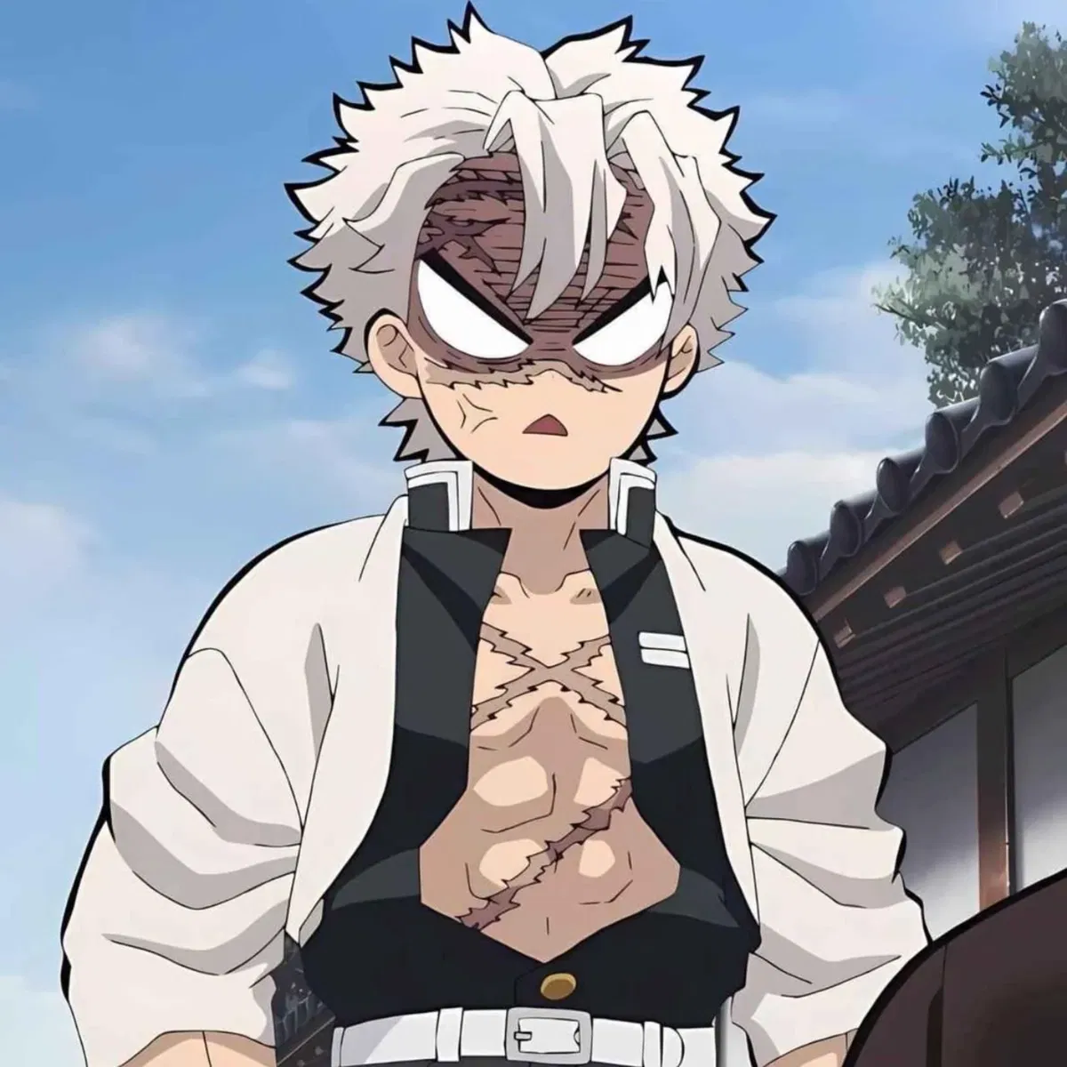 Avatar of Sanemi Shinazugawa