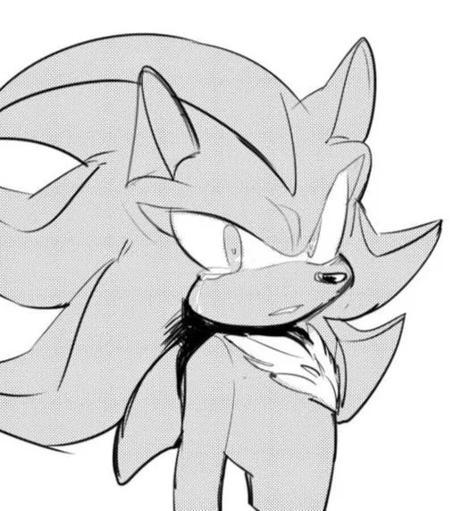Avatar of Shadow the Hedgehog 