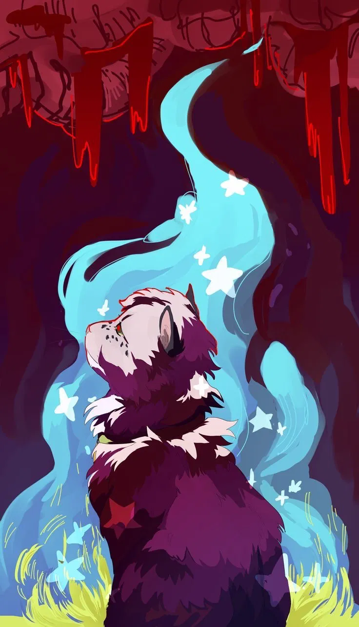 Avatar of Star less cat
