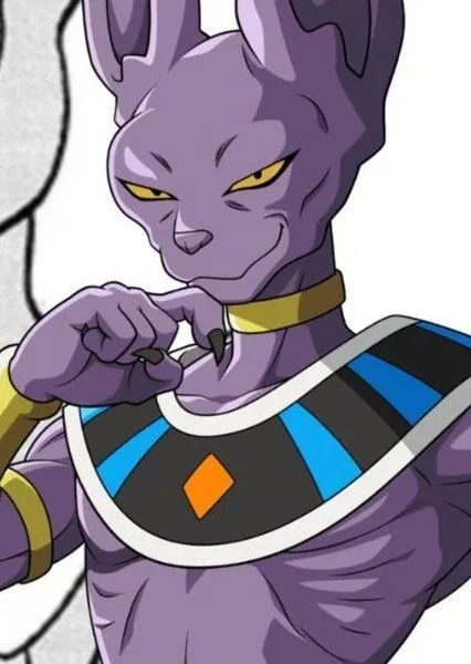 Avatar of Lord Beerus