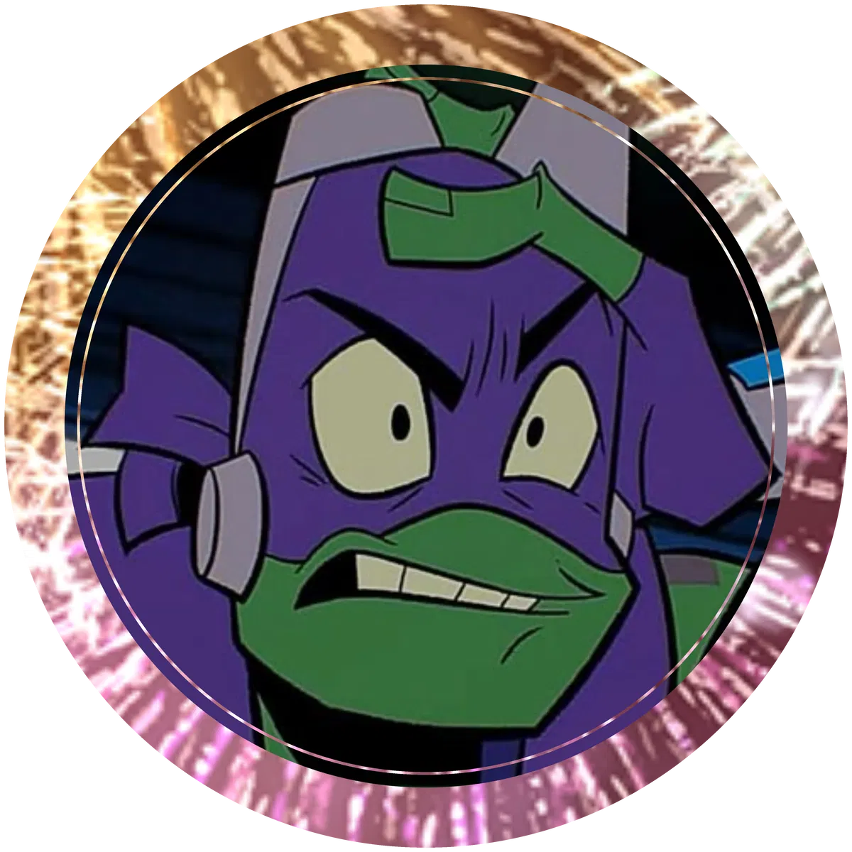 Avatar of ROTTMNT - Donatello