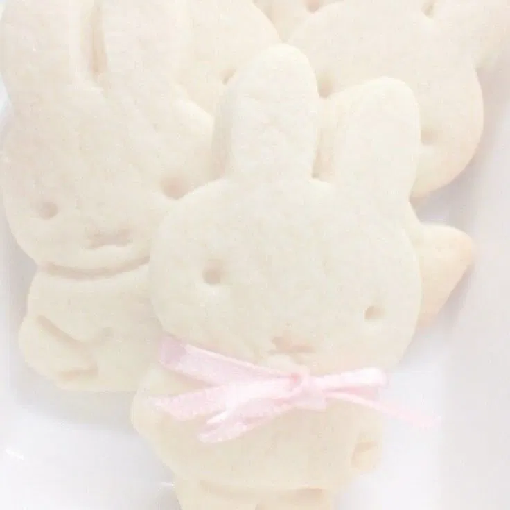 Avatar of 🍪Bunnie Sweet🍪
