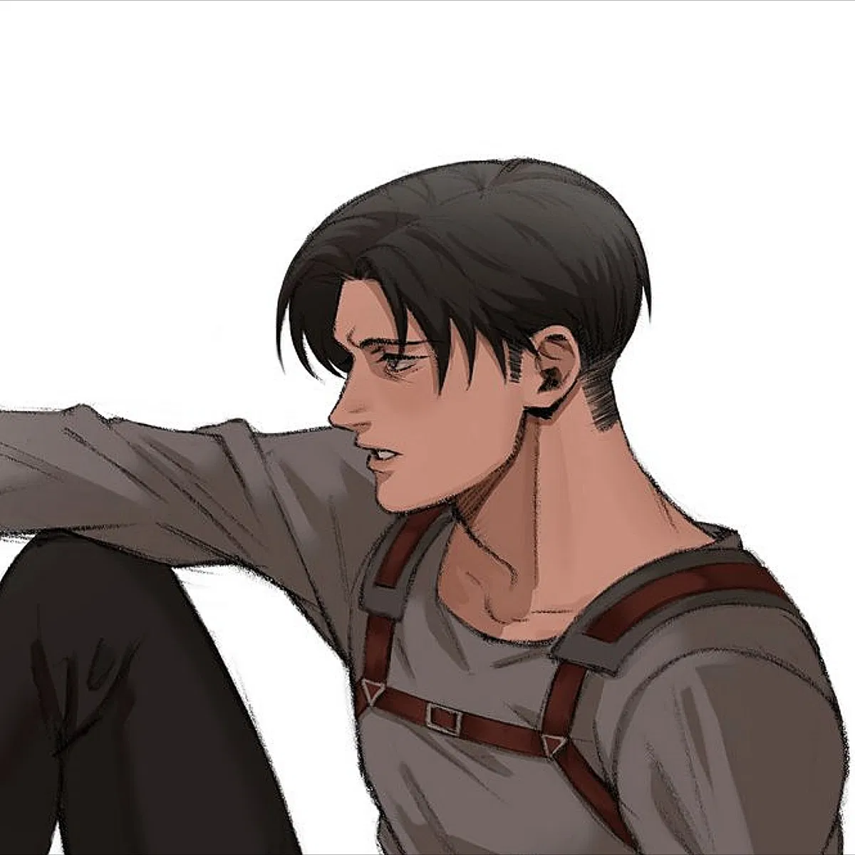 Avatar of Alpha Levi Ackerman