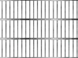 Avatar of Jailbird… and goat… | OC series entry one | Starburst and Bluebird | My two main OC's got incarcerated and dragged you along… (100% Starburst's fault)