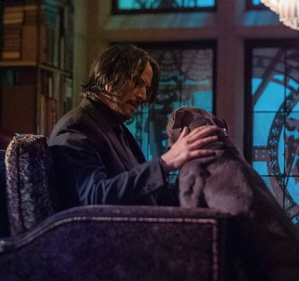 Avatar of John Wick | Dog sitting 