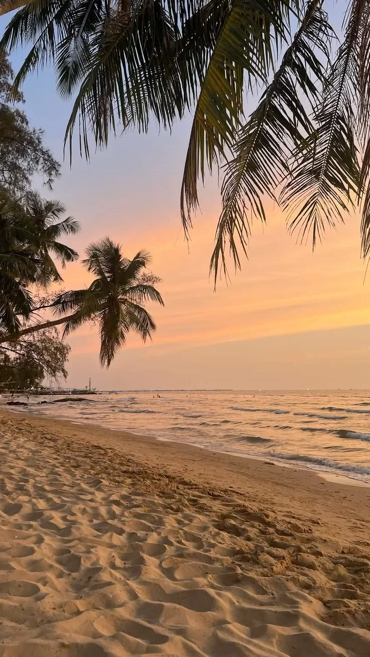 Avatar of Peaceful beach