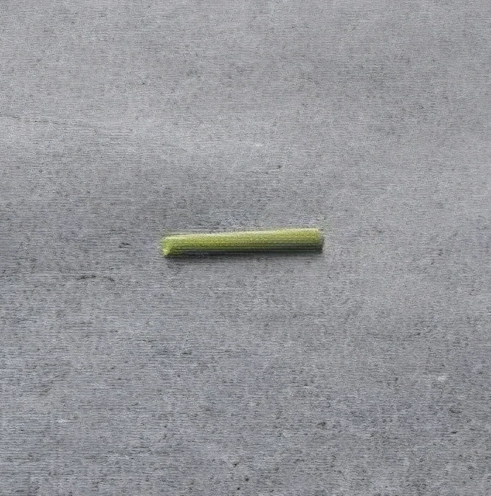 Avatar of Inanimate Carbon Rod - In Rod We Trust