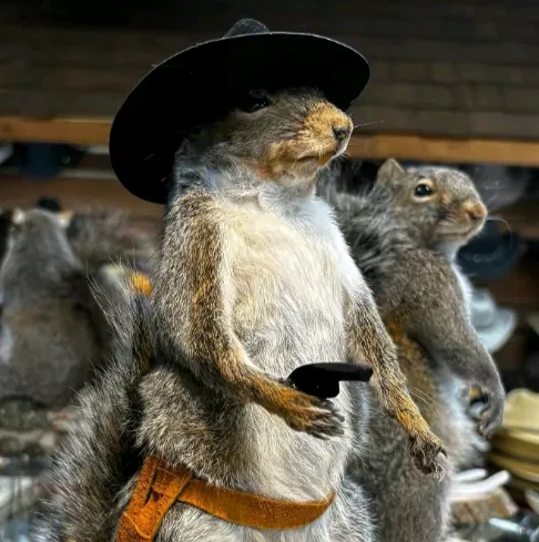 Avatar of Wild squirrel.