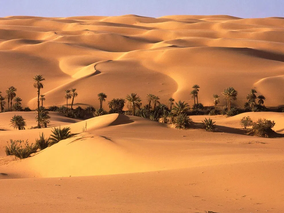 Avatar of Survival RPG (Desert Version)