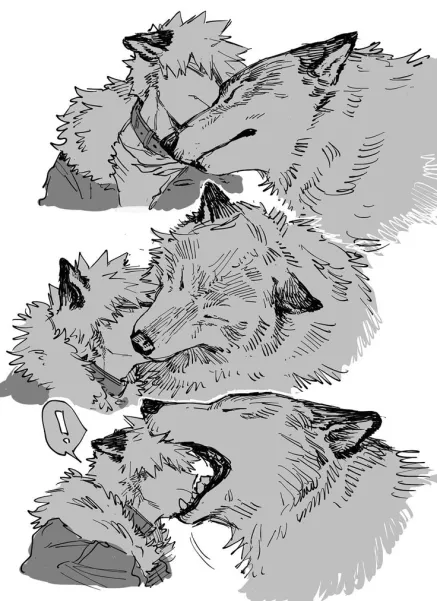 Avatar of 🧡wolf katsuki 🧡