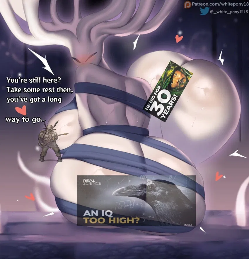 Avatar of White Lady Wants Vessels | Hollow Knight