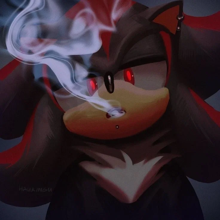 Avatar of Shadow The Hedgehog